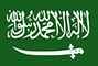 عروض في المملكة العربية السعودية